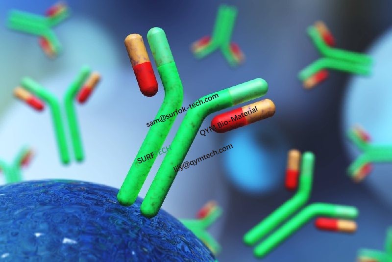 QYM/SURFTECH provides high-purity, reliable, and cost-effective core raw materials—along with comprehensive solutions—for the biopharmaceutical sector